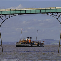 Buy canvas prints of PS Waverly coming into the Clevedon Pier by Rory Hailes