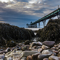 Buy canvas prints of Clevedon Pier Seaweed by Rory Hailes