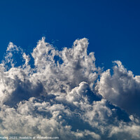 Buy canvas prints of Cumulus clouds  blue sky by Rory Hailes