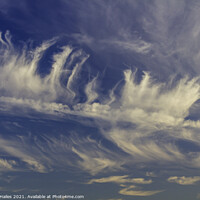Buy canvas prints of Cirrus cloud against a blue sky by Rory Hailes