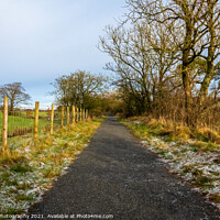 Buy canvas prints of A frosty countryside trail, with snow on the ground, Scotland by SnapT Photography