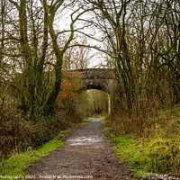 Buy canvas prints of Trail through a broadleaf woodland in Scotland, with a bridge in the background by SnapT Photography