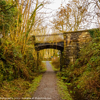 Buy canvas prints of Road bridge at Lodge of Kelton over the old Paddy Line or Galloway railway line by SnapT Photography
