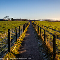 Buy canvas prints of A fenced trail through agricultural land in the Scottish countryside in winter by SnapT Photography