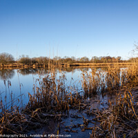Buy canvas prints of A flooded River Dee at Threave Castle, the has burst its banks during a flood by SnapT Photography