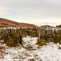 Buy canvas prints of An old snow covered scottish drystone dyke sheep fold in winter, Scotland by SnapT Photography