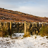 Buy canvas prints of An old snow covered scottish drystone dyke sheep fold in winter, Scotland by SnapT Photography