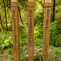 Buy canvas prints of Coloured wooden trail posts highlighting different trails in a Scotland by SnapT Photography