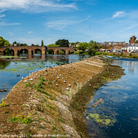 Buy canvas prints of Low water and a dry caul weir during a summer drought on the River Nith by SnapT Photography