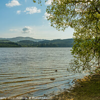 Buy canvas prints of Loch Ard on a summers day in Loch Lomond and Trossachs National Park, Scotland by SnapT Photography