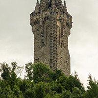 Buy canvas prints of The National Wallace Monument tower, Stirling, Scotland by SnapT Photography