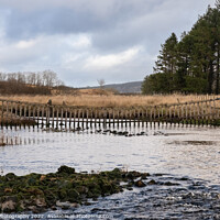 Buy canvas prints of A watergate hanging across the Carsphairn Lane River at the Water of Deugh by SnapT Photography