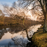 Buy canvas prints of A treelined trail along the Water of Ken river at Kendoon at sunset in winter by SnapT Photography