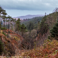 Buy canvas prints of Glen of the Bar viewpoint in Autumn beside The Queen's Way, Galloway Forest by SnapT Photography