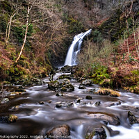 Buy canvas prints of Grey Mare's Tail Waterfall and burn in winter, Galloway Forest Park, Scotland by SnapT Photography
