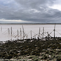 Buy canvas prints of Salmon stake nets at low tide on the River Cree estuary at Carsluith, Scotland by SnapT Photography