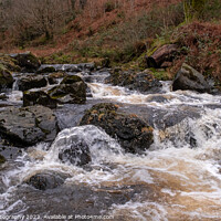 Buy canvas prints of Winter runoff and fast turbulent water on a highland stream or burn in Scotland by SnapT Photography