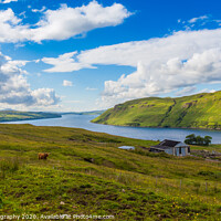 Buy canvas prints of A view across Loch Harport on the Isle of Skye, with a Highland cow grazing by SnapT Photography