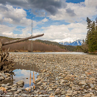Buy canvas prints of Two fly fishing rods on a dead tree on a river in British Columbia by SnapT Photography