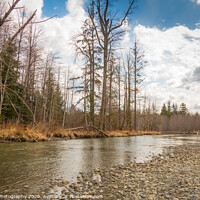 Buy canvas prints of Beautiful small stream in British Columbia, Canada, in the Spring by SnapT Photography