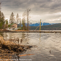 Buy canvas prints of Late spring afternoon on Lakelse Lake at Waterlily bay, BC, Canada by SnapT Photography