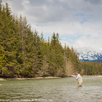 Buy canvas prints of A fly fisherman casting on the Kalum River in British Columbia, Canada by SnapT Photography