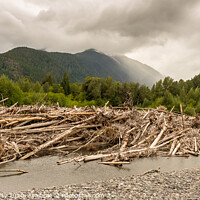 Buy canvas prints of A man standing beside a very big log jam on a river in British Columbia, Canada by SnapT Photography