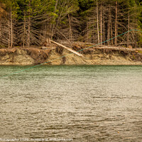 Buy canvas prints of A man hooked into a fish while fly fishing in British Columbia, near Kitimat by SnapT Photography
