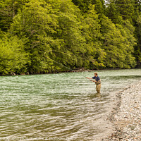 Buy canvas prints of A fly fisherman spey casting, while wading in the fast flowing Kitimat River by SnapT Photography