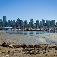 Buy canvas prints of Low tide in Coal Harbour, Vancouver, on a summers day, from Stanley Park by SnapT Photography