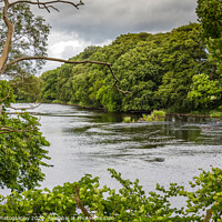 Buy canvas prints of A view of a river through a gap in trees in summer by SnapT Photography