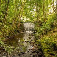 Buy canvas prints of Water flowing over an old weir and through a woodland, over stones by SnapT Photography