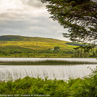 Buy canvas prints of A view of Loch Stroan with a reed bed and the hill by SnapT Photography
