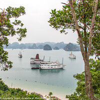 Buy canvas prints of A beautiful view of junk boats in Ha Long Bay through trees by SnapT Photography
