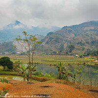 Buy canvas prints of A mountain and rice paddy landscape in Sapa, Vietnam, on a winters morning by SnapT Photography