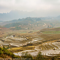 Buy canvas prints of A view over a Vietnamese landscape of rice terraces in winter, Sapa, Vietnam by SnapT Photography