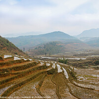 Buy canvas prints of A close up of a Vietnamese rice terrace in Sapa, Vietnam by SnapT Photography