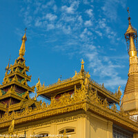 Buy canvas prints of A golden buddhist temple in the evening sun in Yangon, Myanmar by SnapT Photography