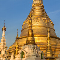 Buy canvas prints of Evening light falling on the golden Shwedagon Pagoda in Yangon, Myanmar by SnapT Photography