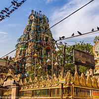 Buy canvas prints of The Shri Kali Temple in central Yangon, Myanmar, surrounded by a flock of birds by SnapT Photography