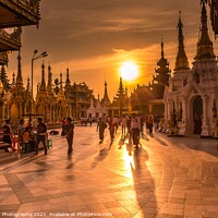 Buy canvas prints of Sunset light on the Shwedagon Pagoda in Yangon, Myanmar by SnapT Photography
