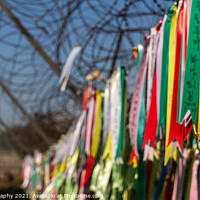 Buy canvas prints of Prayer ribbons attached to a barb wire fence at the Korean Demilitarized Zone by SnapT Photography