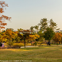 Buy canvas prints of The grounds of Gyeongbokgung Palace in autumn colours in late afternoon by SnapT Photography