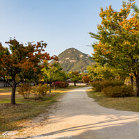 Buy canvas prints of The gardens of Gyeongbokgung Palace, with Bugaksan Mountain in the background by SnapT Photography