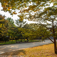 Buy canvas prints of A park in Seoul with trees in autumn colours, at Gyeongbokgung Palace by SnapT Photography