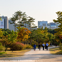 Buy canvas prints of Tourists walking through the gardens of Gyeongbokgung Palace, Seoul, South Korea by SnapT Photography