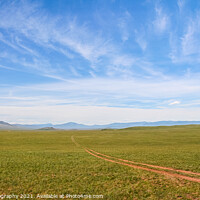 Buy canvas prints of A track across a Mongolian grassland with mountains in the background by SnapT Photography
