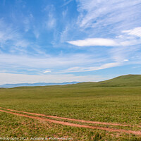 Buy canvas prints of A track across a Mongolian grassland with mountains in the background by SnapT Photography