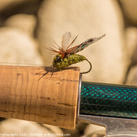 Buy canvas prints of A macro shot of an artificial cicada fly for fishing for trout by SnapT Photography