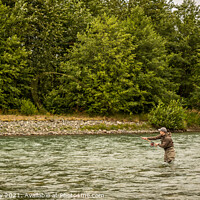 Buy canvas prints of A fly fisherman spey casting while wading in a fast flowing, green, glacial river. by SnapT Photography